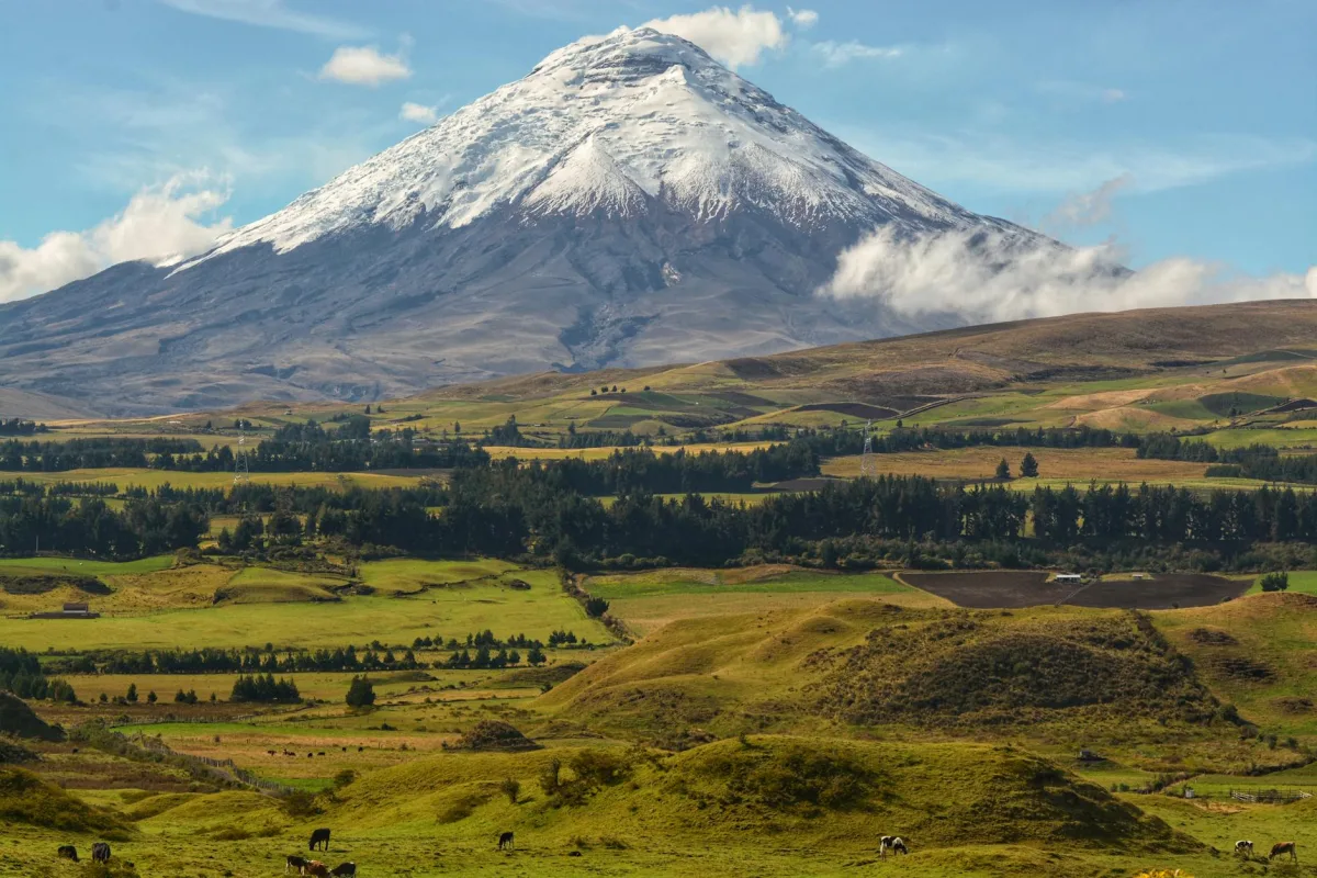 Terreno Agrícola en Cayambe